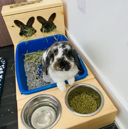 Rabbit litter tray and hay feeder best sale